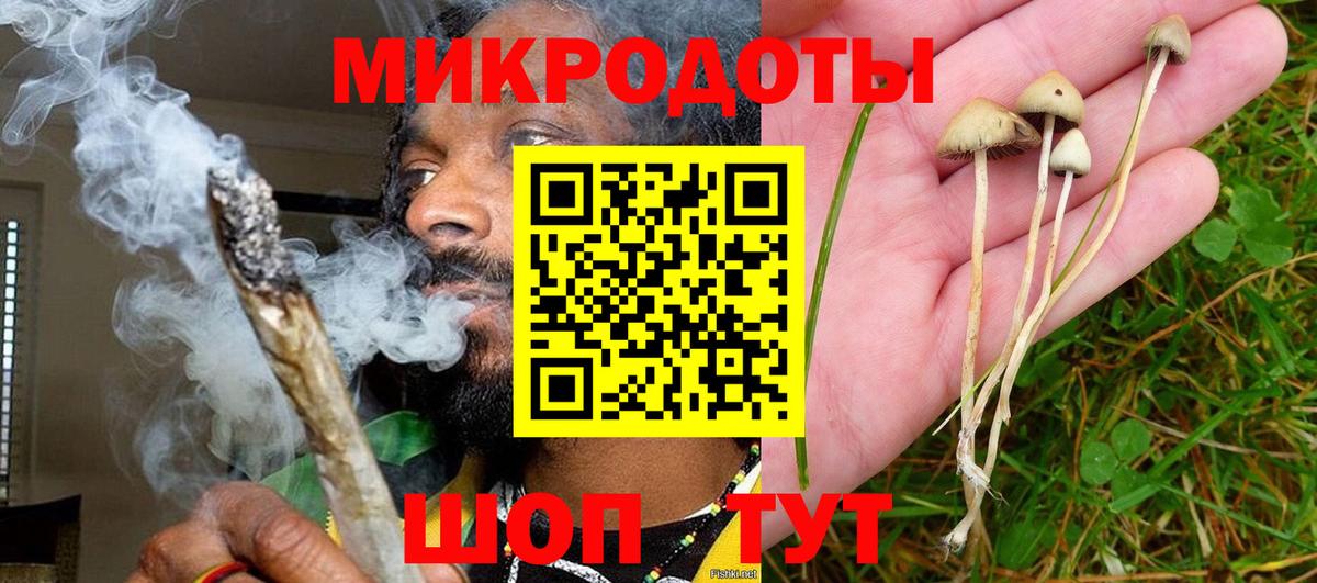Азнакаево  Галлюциногенные грибы GOLDEN TEACHER  Вход с VPN 